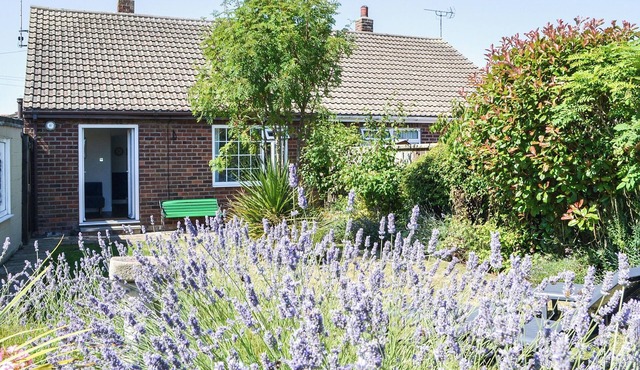 We just love the garden.