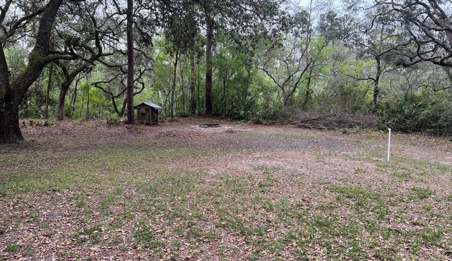 We wanna get away to the cabin in White Springs