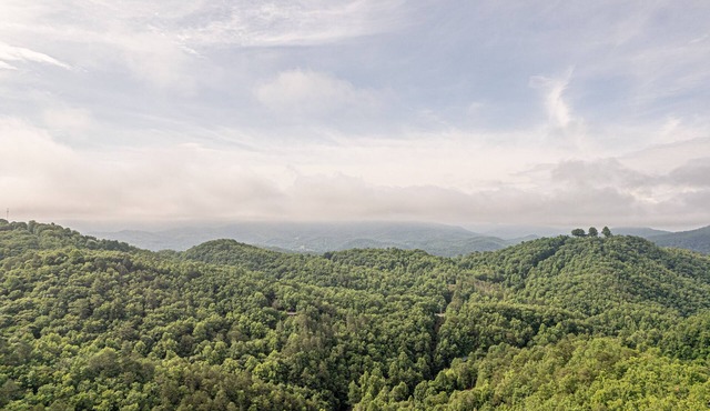 Weddings, Retreats, Large Groups: 3LittleBearsRetreat