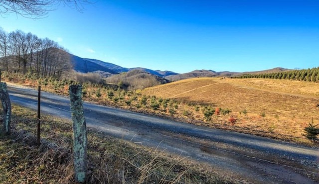 Weddings, Reunions, Corporate Retreats Sleeps 48 - up to 80 for Events