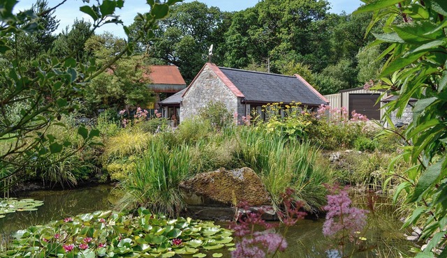 Wee Cordorcan - UK5890