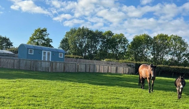 Wee Shepherds Hut Maybole
