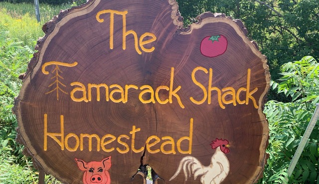 Wee Willa at The Tamarack Shack Homestead. Friendly farm animals to visit with!