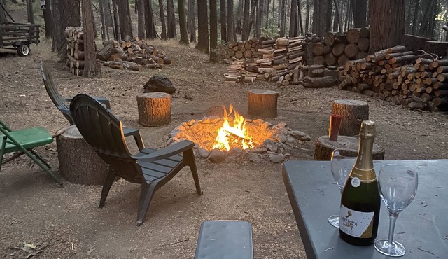 Weekend Getaway Relax & Recharge 5 acres Nature Retreat & Dog Heaven!