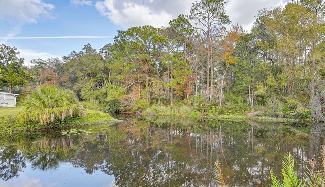 Weeki Wachee Family Getaway: Canal-Front Home