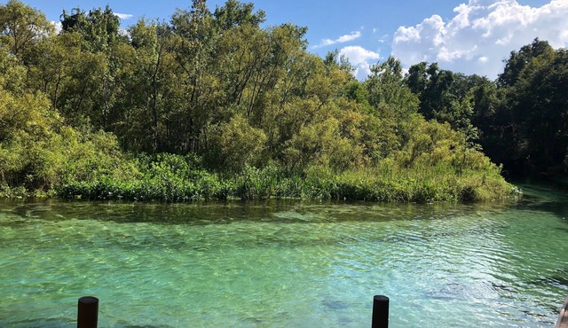 Weeki Wachee MAIN RIVER