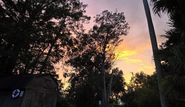 Weeki Wachee Waterfront Canal home. Manatee Manor