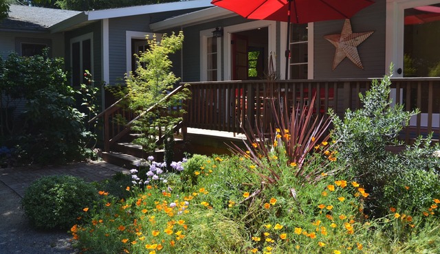 Weekly and monthly discountsnnBusiness license 1726