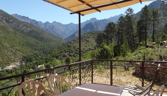 Weekly and overnight rentals open all year round