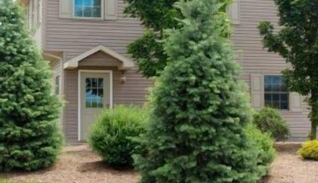 Weekly discounts available!