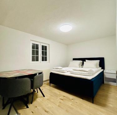 WEF and Ski Luxury Apartment AK