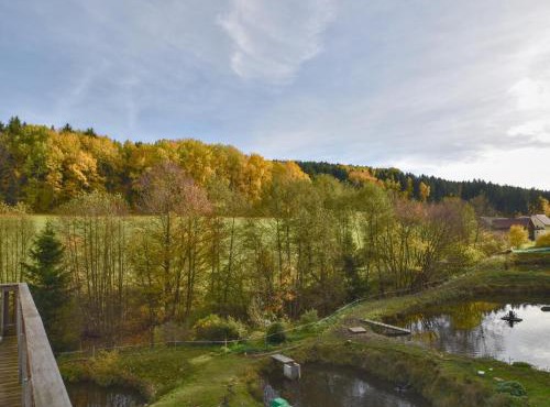 Weiherblasch in Schönsee