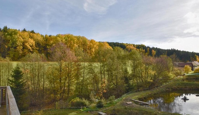 Weiherblasch in Schoensee