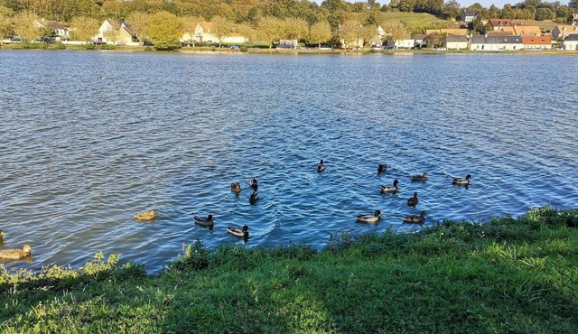 Welcome to Tuffe 11 beds in the center of village short walk to lake