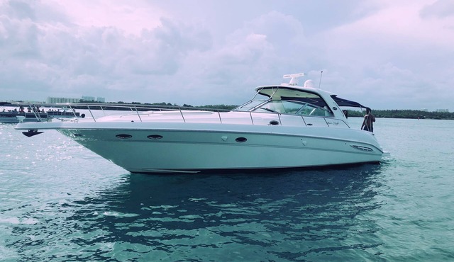 Welcome aboard Carpe Diem Yacht