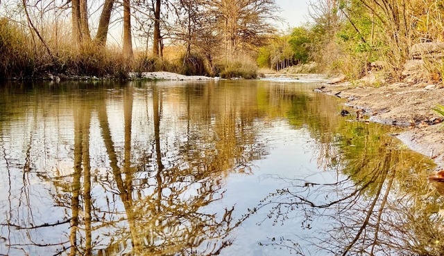 Welcome anytime, 55 yards to the Frio river