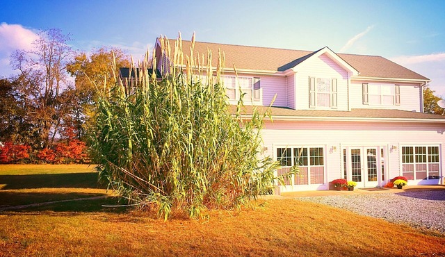 WELCOME Cave Visitors! Clean, Peaceful Home in the Country. Game Room/Mini Gym!