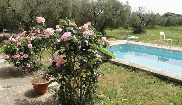 Welcome to the Alpilles