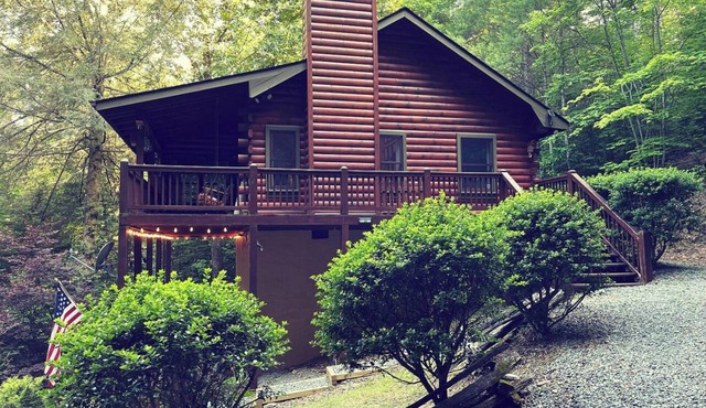 Welcome to Bearadise! Charming cabin 10 minutes to downtown Blue Ridge!
