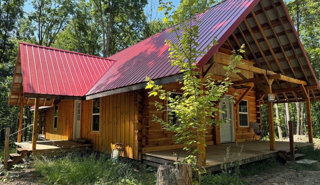 Welcome to DeepWoods Lodge at Hatfield McCoy. 3BR Mountain Log home on 22 acres.