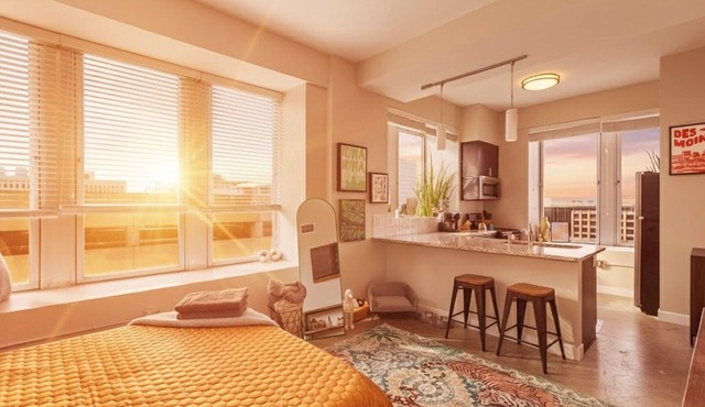 Welcome to Dog Moines- Skywalk connected pet-friendly studio. NO pet fees!