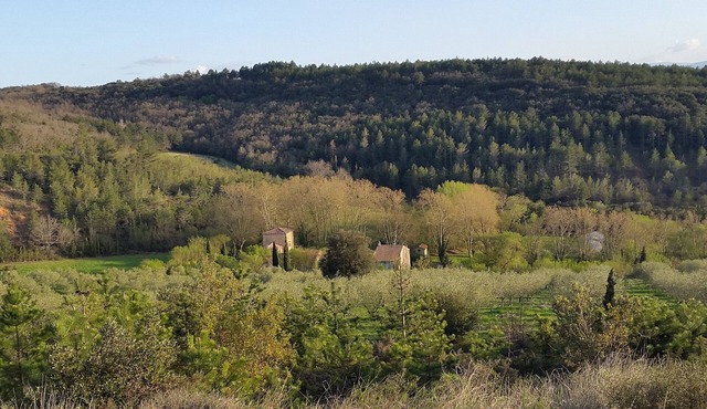 Welcome to Domaine de Castillou