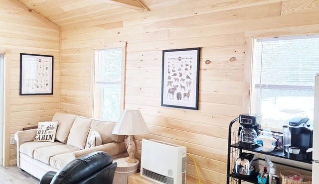 Welcome to Fully Renovated in 2026 St. Froid Lakefront Cabins!