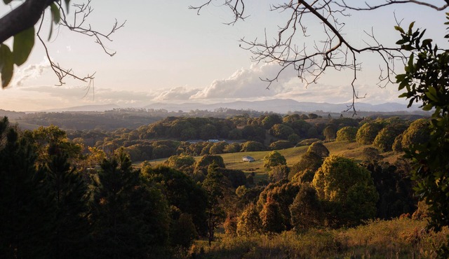 Welcome to Gwandalan, a place of rest and calm for families, friends and couples