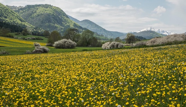 Welcome to Léontine 5 minutes from Lake Belcaire with its many activities