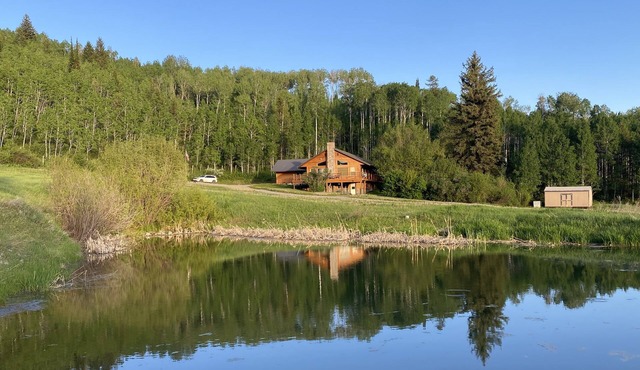 Welcome to Lucky Cub Ranch!