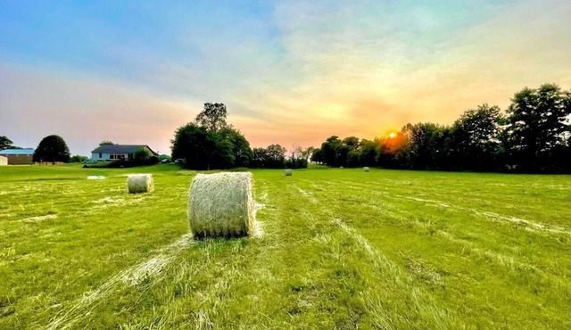 Welcome to our charming Hobbit’s Shire! Nestled in the countryside.