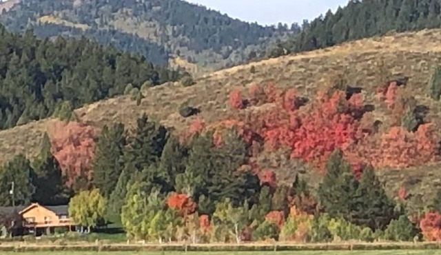 Welcome to our Mountain Family Cabin near Lava Hot Springs!