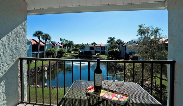 Welcome to paradise! The pool is now open!