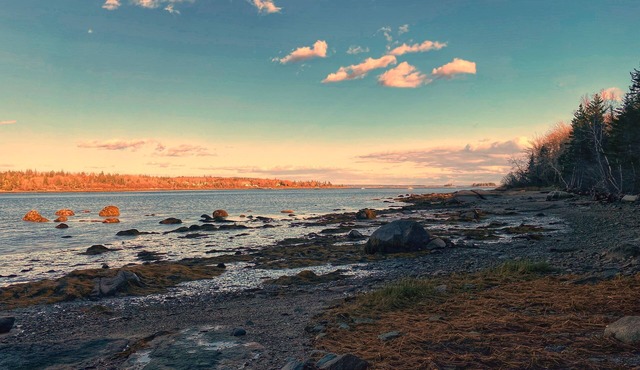 Welcome to Puffin Rock! Oceanfront on Herrick Bay, Brooklin Maine