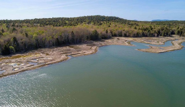 Welcome to-"Salt Marsh Cottage" on Grand Marsh Bay with Eagles, loons & Seabirds