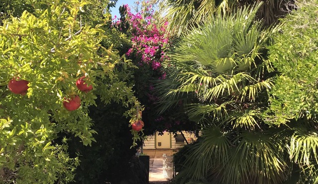 Welcome to Shazza’s