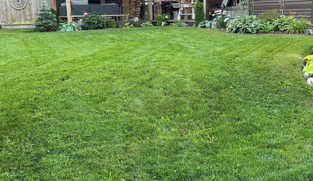 Welcome to Sunset Cove, Cozy home, enjoy the landscaped property & outdoor area.