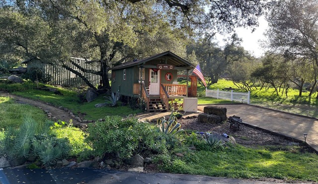 Welcome to Surfing Cowboy Ranch