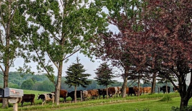 Welcome to The Bull-Pen