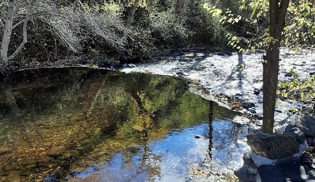 Welcome to the Creekside, our newly built cabin on White Bird Creek