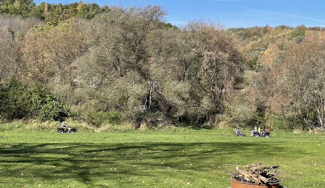 Welcome to the Greenhouse!