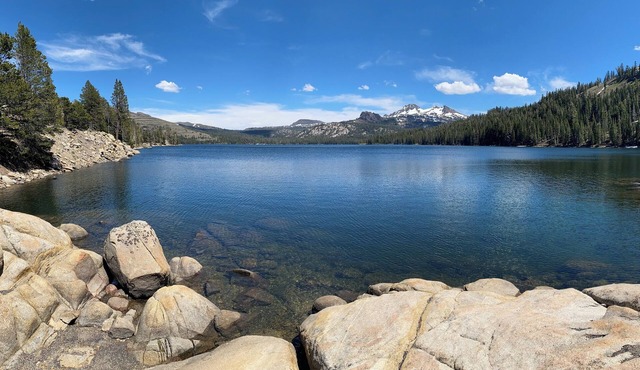 Welcome to The Monte a Vintage cabin in the Woods with game room!