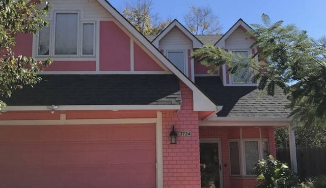 Welcome to the Pink Oasis