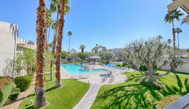 Welcome to the Pomello. Your desert oasis awaits.