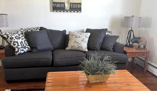 Welcome to The Tennerton House-Charming 2-bedroom with AC and WiFi in Buckhannon