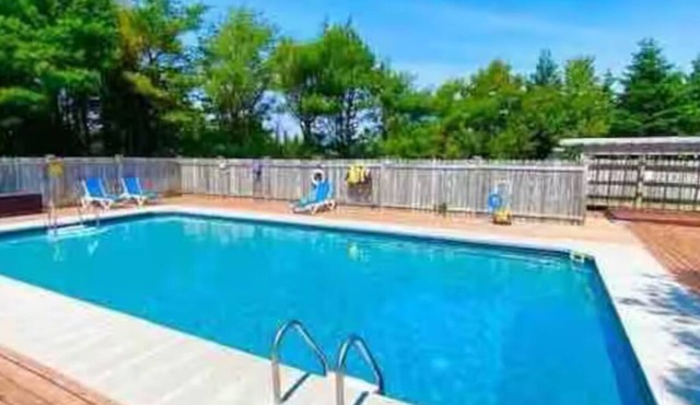 Welcome to the “Willow”