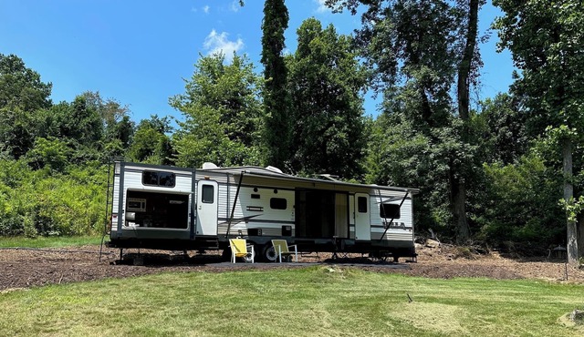 Welcome to Tranquility Hollow!