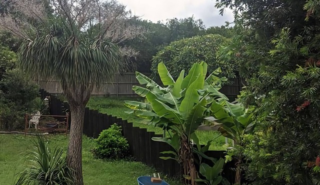 Welcome to your Home away from Home. Pacific Studio offers everything to make your stay comfortable