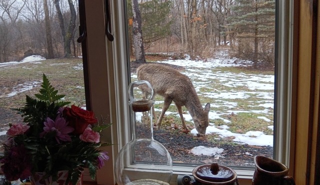 WELCOME! WE ARE PET FRIENDLY.