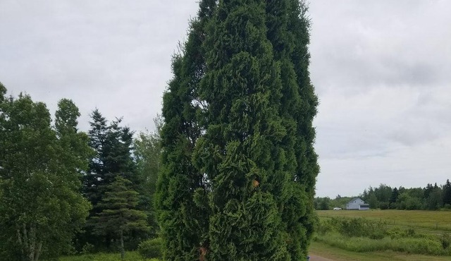 Welcome🌞1 bedroom apartment in the house, up to 2 guests, with nature around